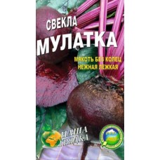 Свекла Мулатка пакет 10 грамм. Среднеспелый сорт.