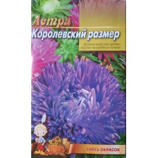 Астра Королевский размер смесь пакет 0,25 грамма