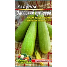 Кабачок Одесский кустовой 40 семян. Скороспелый сорт.