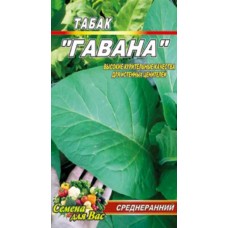 Табак Гавана пакет 0,1 грамм семян